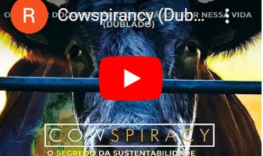 Indústria do Gado - Gás Metano - e Dióxido de Carbono